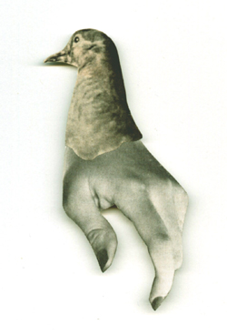 Ba, collage by Becky FitzPatrick